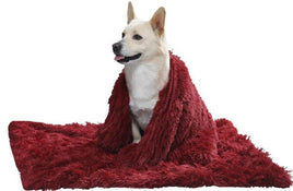 Dog Beds, Blankets, and Furniture