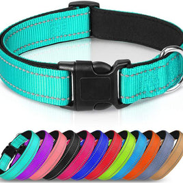 Collars, Harnesses,& Leashes